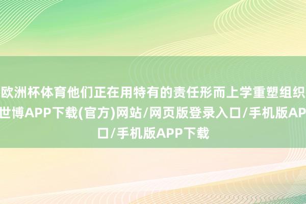 欧洲杯体育他们正在用特有的责任形而上学重塑组织肌理-世博APP下载(官方)网站/网页版登录入口/手机版APP下载