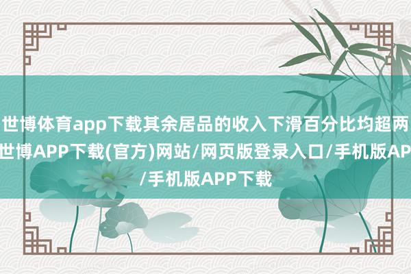 世博体育app下载其余居品的收入下滑百分比均超两位数-世博APP下载(官方)网站/网页版登录入口/手机版APP下载