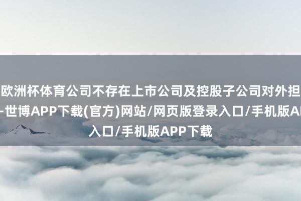 欧洲杯体育公司不存在上市公司及控股子公司对外担保情况-世博APP下载(官方)网站/网页版登录入口/手机版APP下载